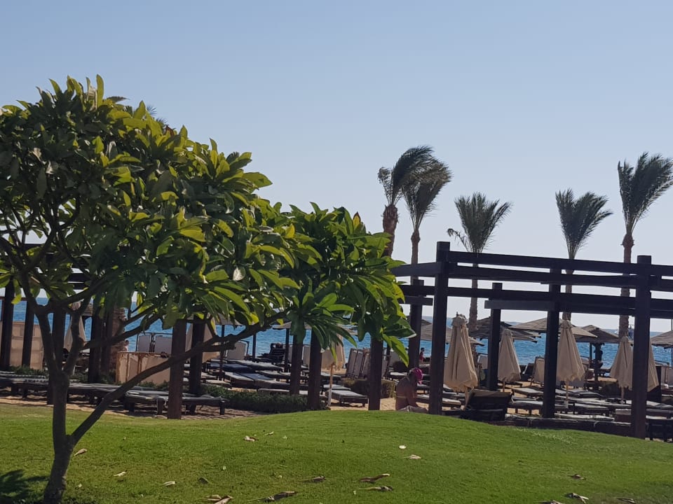 Gartenanlage Steigenberger Aqua Magic