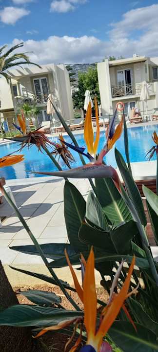 Pool HARPIN Georgioupolis Resort Aquapark & SPA