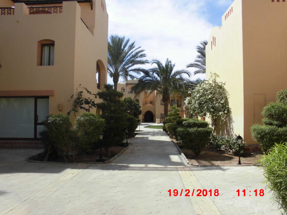 Gartenanlage Steigenberger Coraya Beach - Adults only