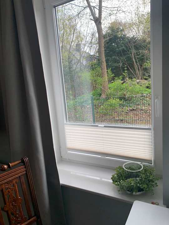 Ausblick Gästehaus "Alte Bücherei"