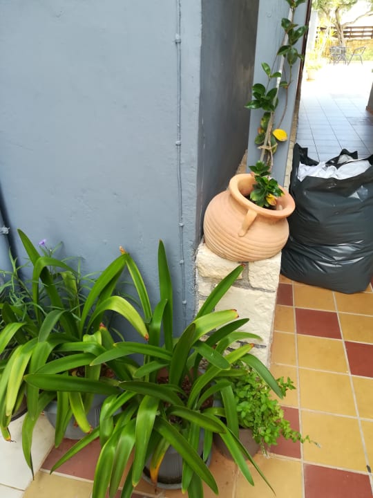 Sonstiges Hotel Anthoula Village