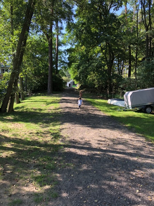 Gartenanlage Familotel Borchard's Rookhus am See