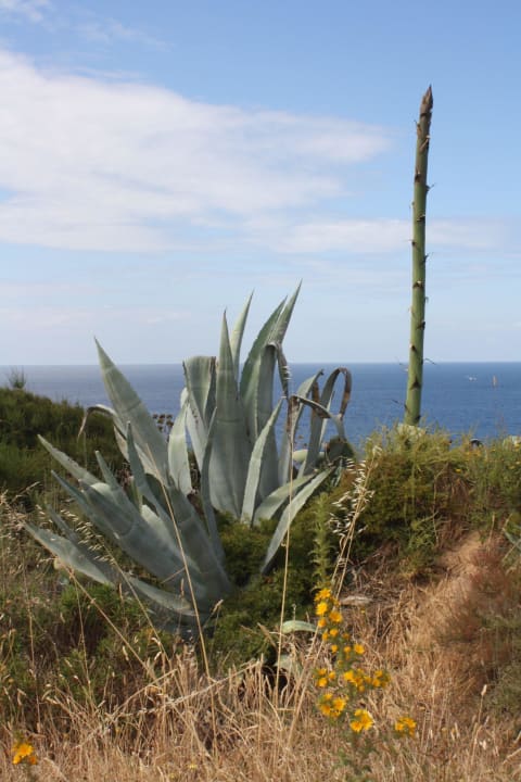 Bildmotive Natur Cascade Wellness Resort