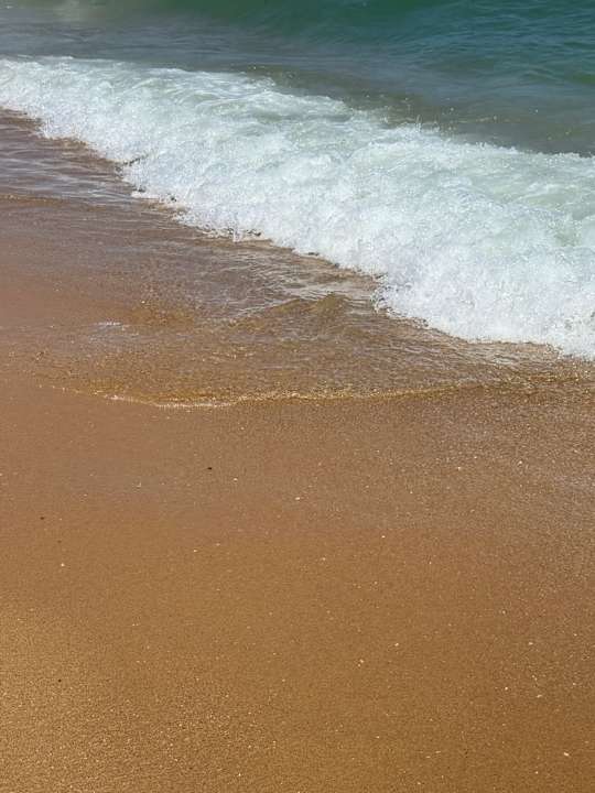 Strand Sentido Marea