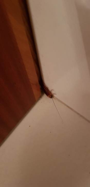 Zimmer Hotel La Palma