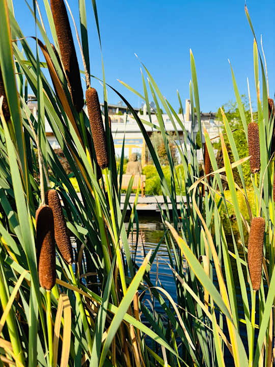 Gartenanlage Hotel & Spa Larimar