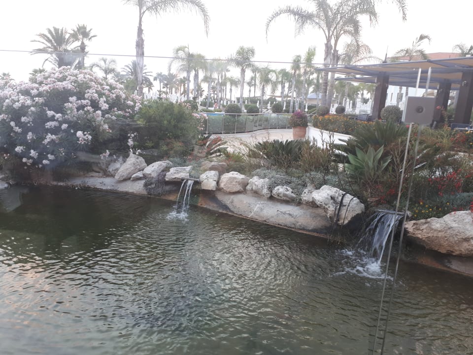 Gastro Olympic Lagoon Resort Paphos