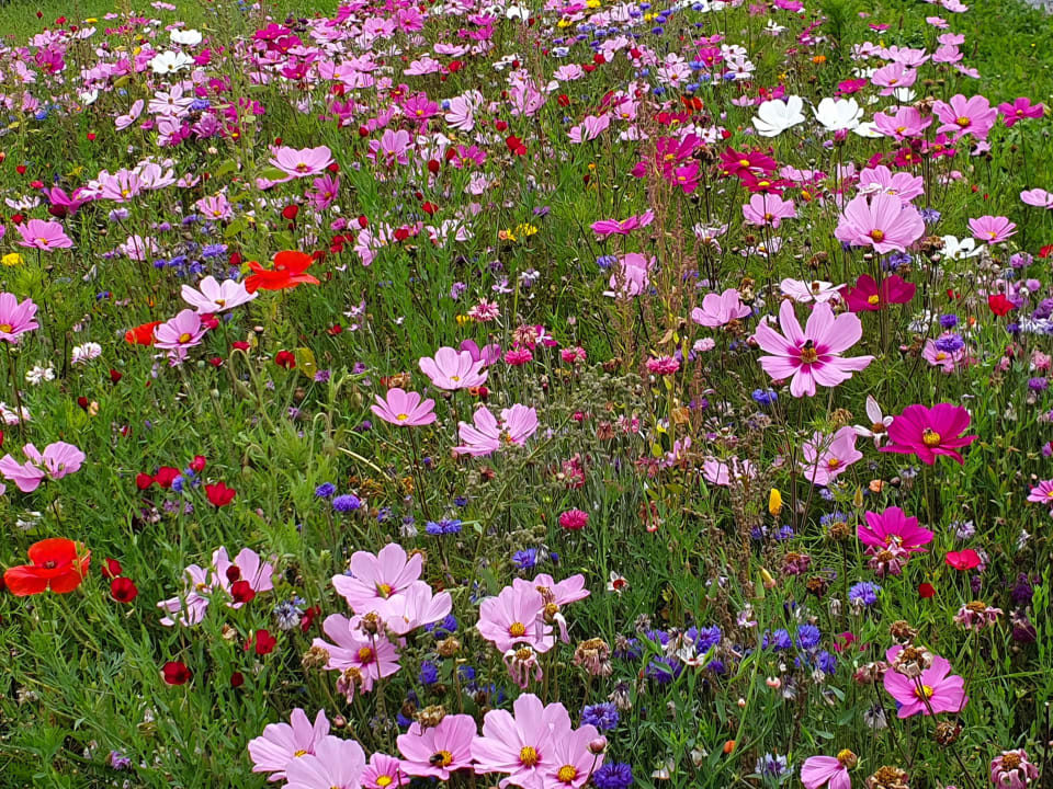 Gartenanlage Hotel Monika – great place to be