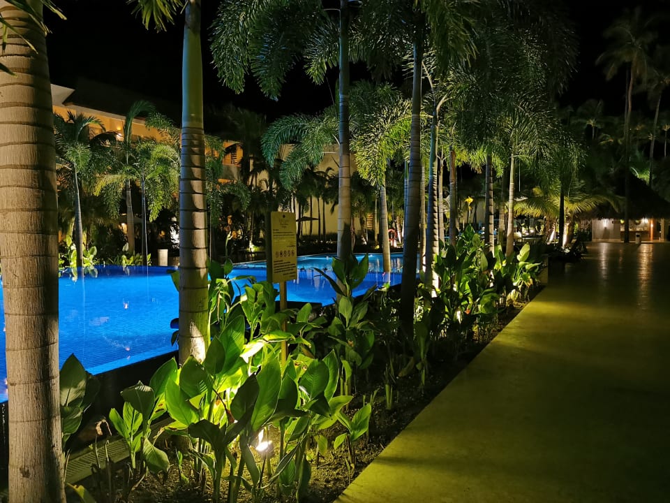 Pool Dreams Royal Beach Punta Cana