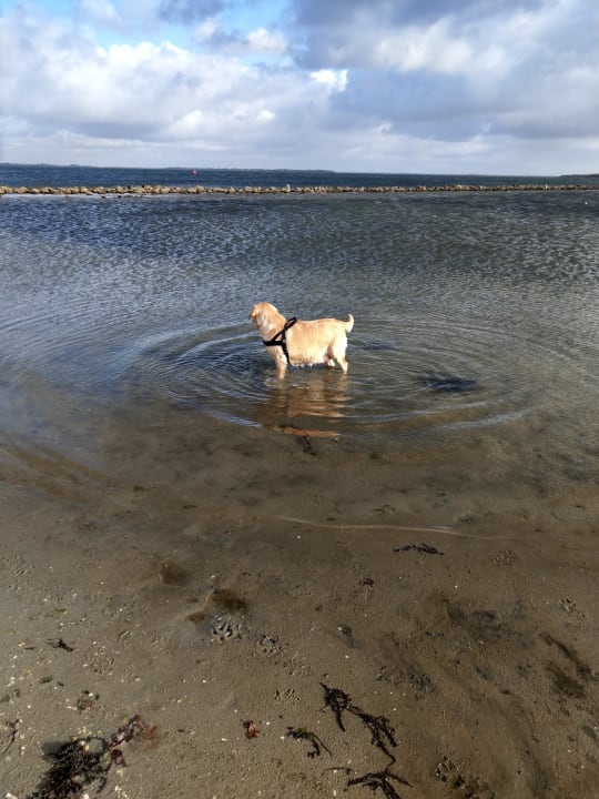 Strand Center Parcs Port Zélande