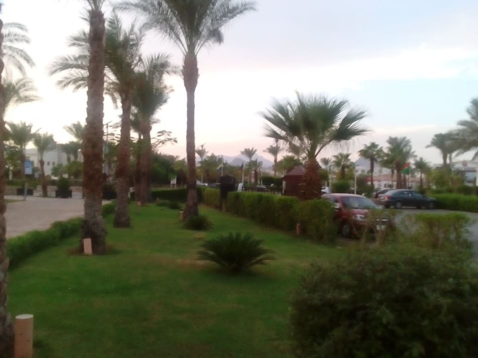 Gartenanlage Ghazala Gardens