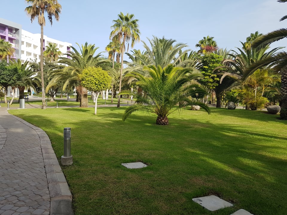 Gartenanlage Hotel Riu Gran Canaria