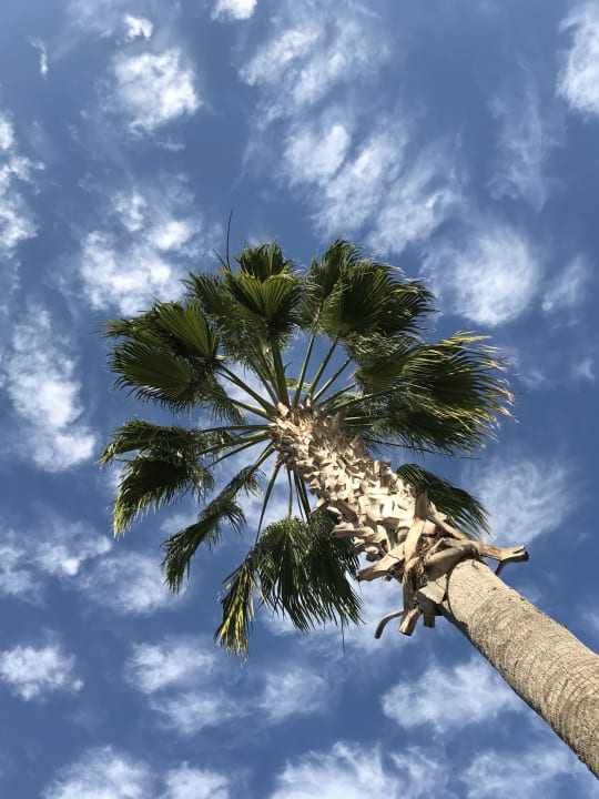 Ausblick Hane Family Resort