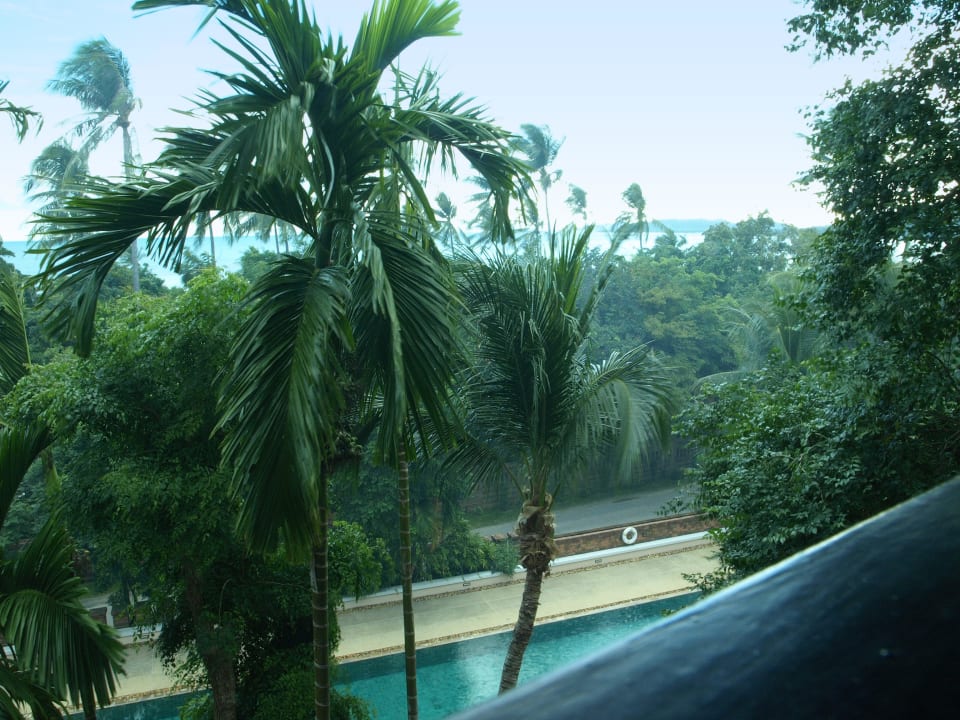 Ausblick auf den 50m-Pool aus dem Zimmer 405 Renaissance Koh Samui Resort & Spa