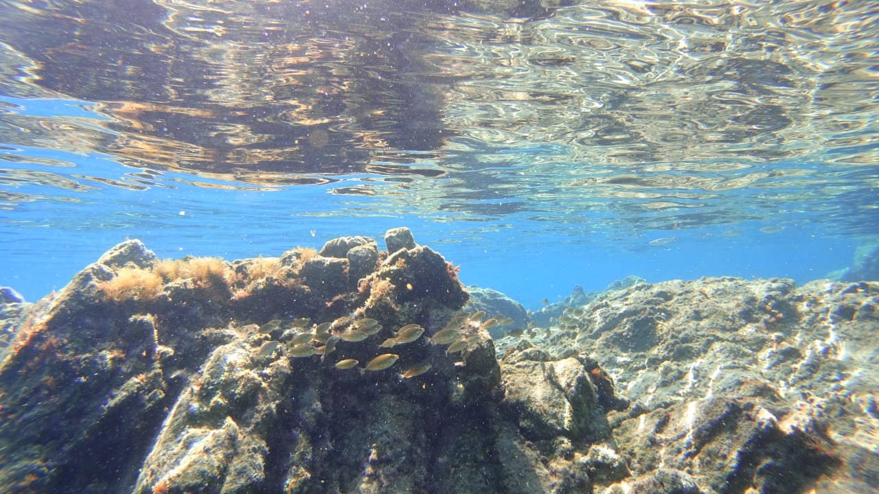 Strand Rodos Princess Beach Hotel & Spa