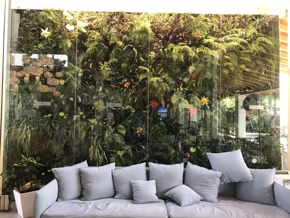 Sonstiges Alua Suites Fuerteventura