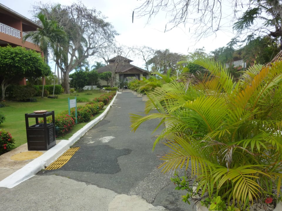 Rezeption BelleVue Dominican Bay