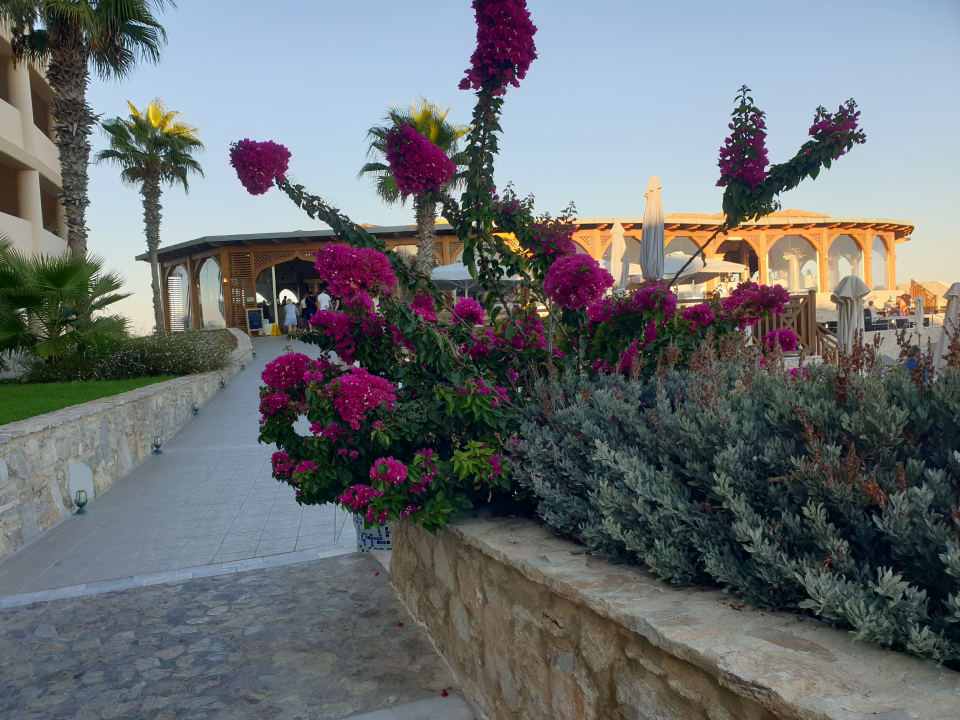 Gastro Hotel Kalithea Horizon Royal