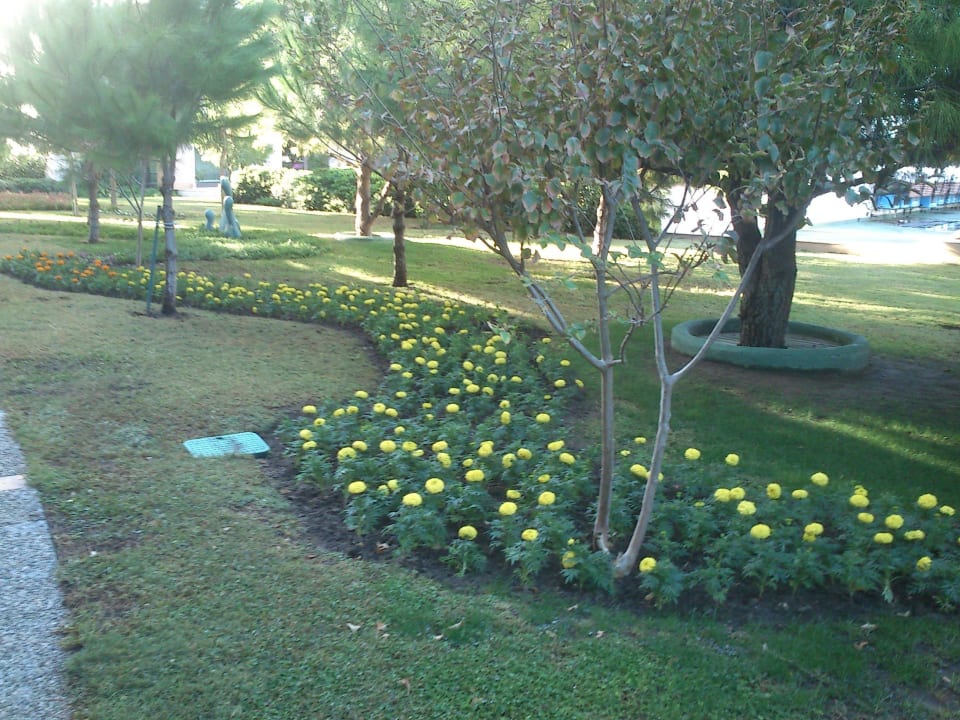 Blumen Voyage Belek Golf & Spa