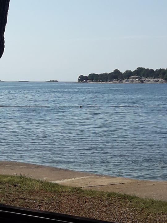 Ausblick Maistra Select Funtana All Inclusive Resort