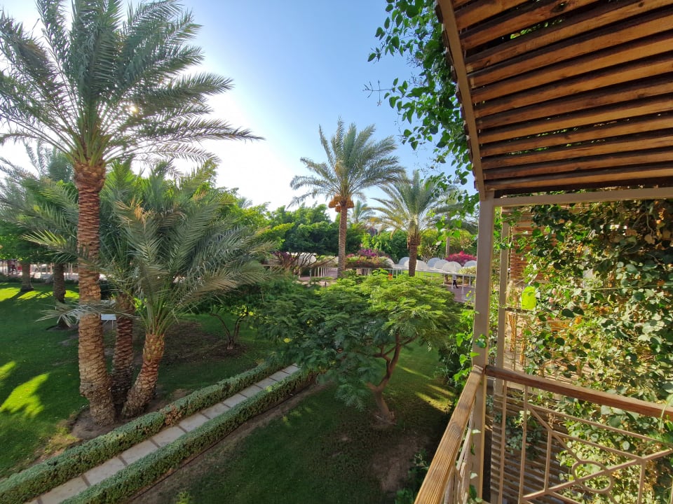 Gartenanlage Desert Rose