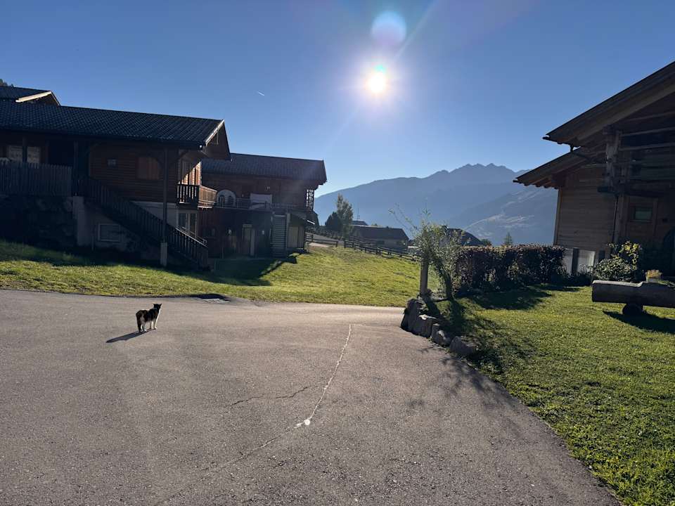 Ausblick Almfamilyhotel Scherer