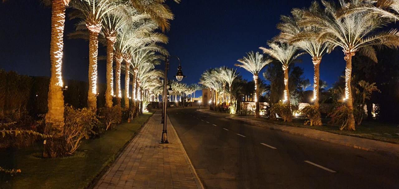 Garten Steigenberger Coraya Beach - Adults only