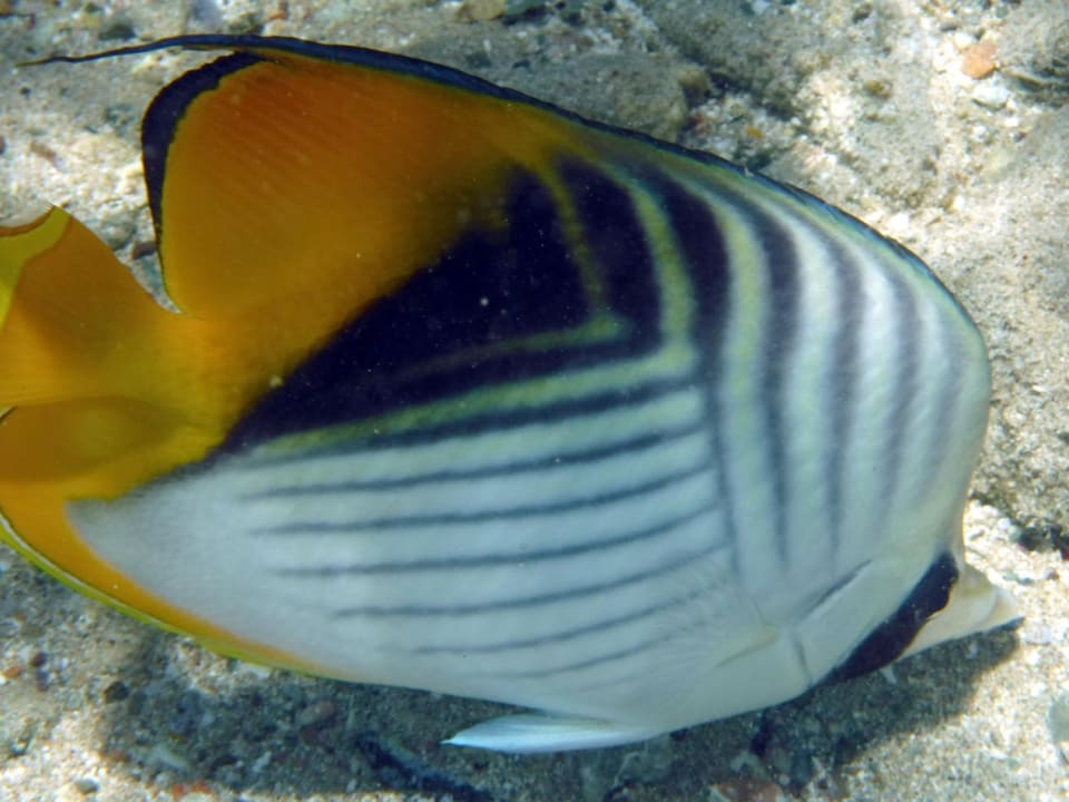 Sport & Freizeit Rohanou Beach Resort