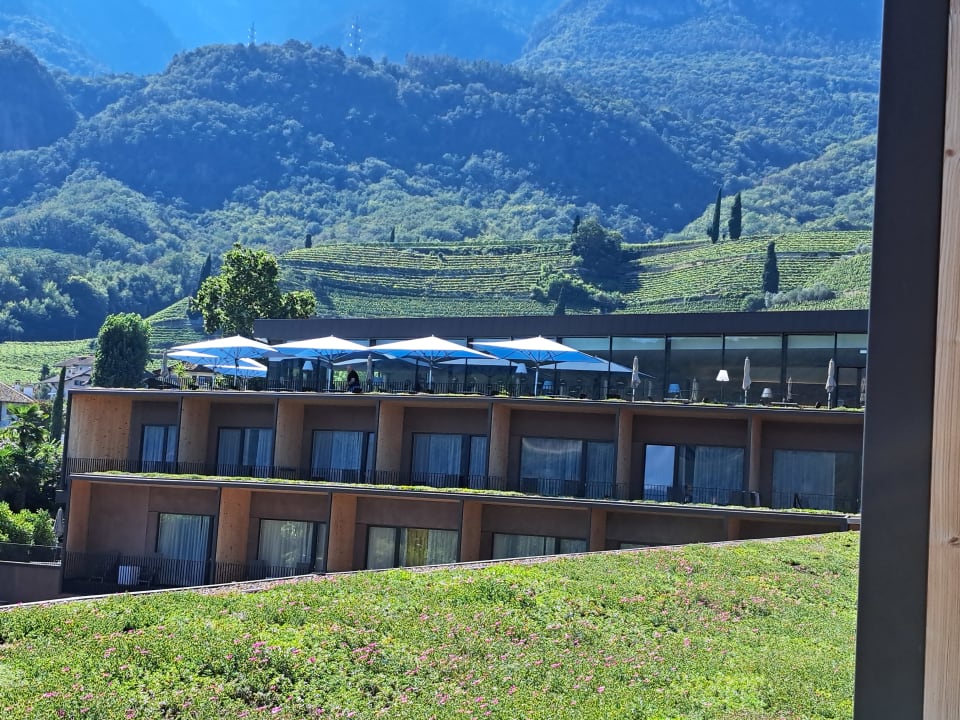 Ausblick Hotel Thalhof am See