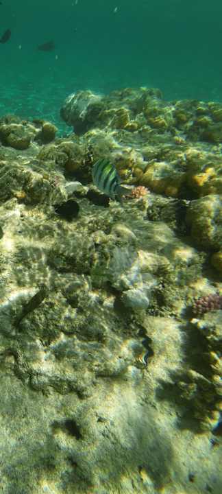 Strand Utopia Beach Club