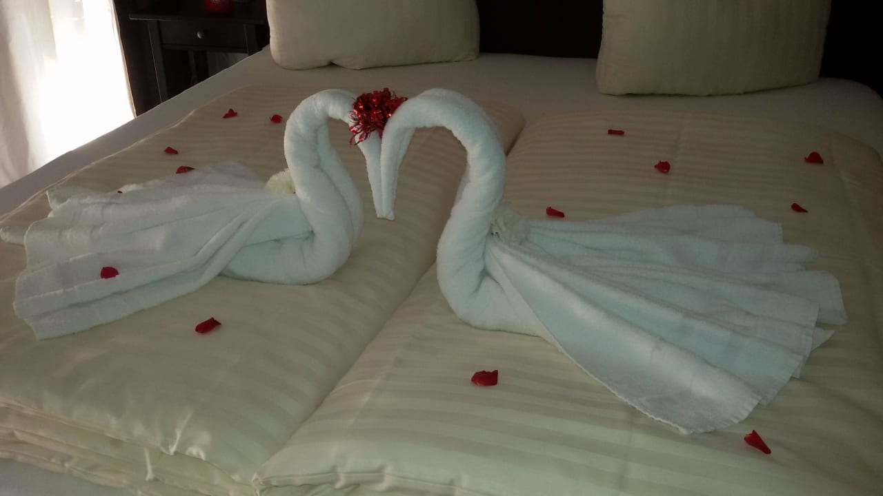 Zusatzpaket Wincent Hotel