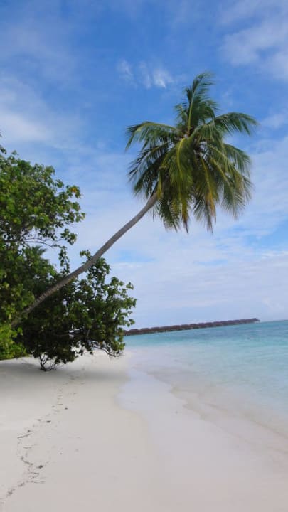 Einfach ein Traum Meeru Maldives Resort Island