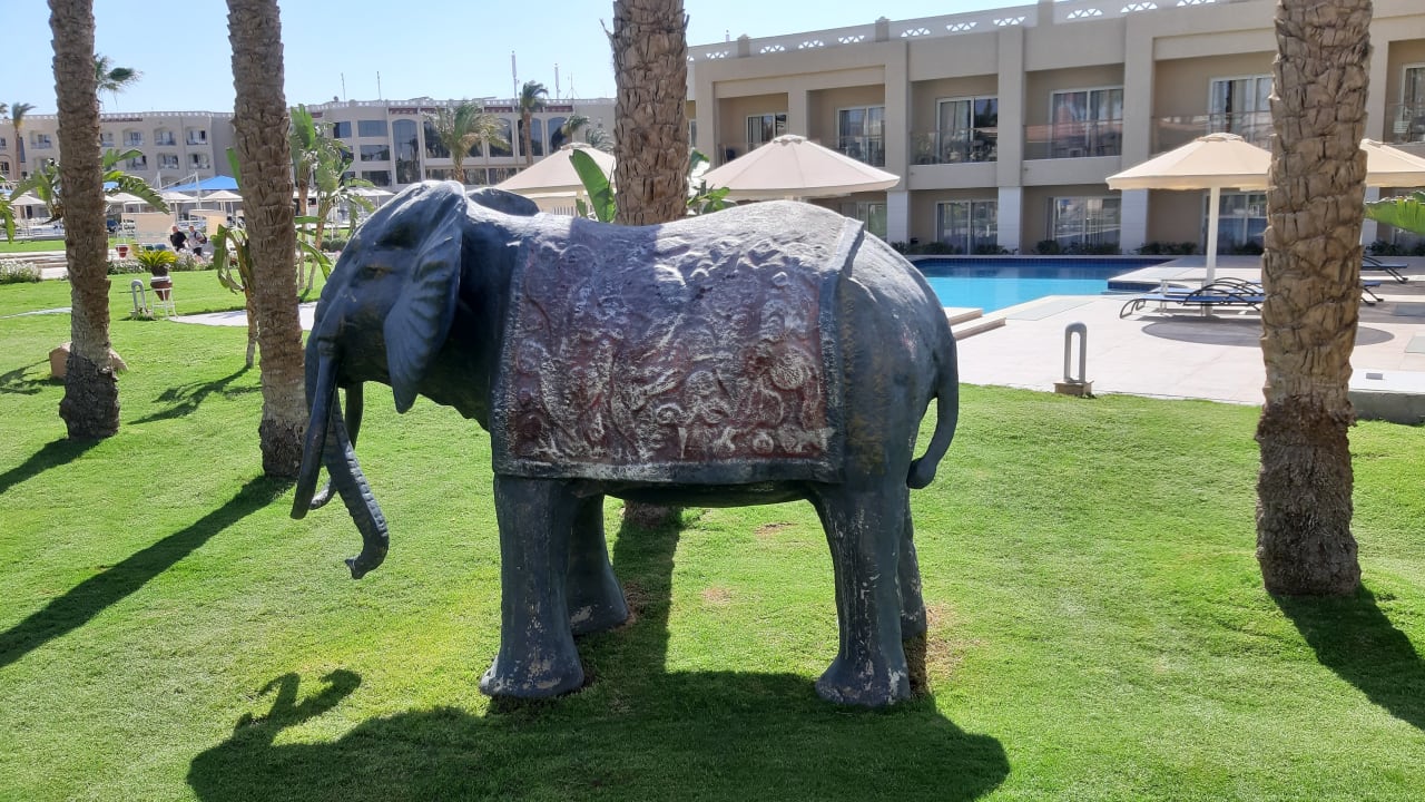 Sonstiges Beach Albatros Resort