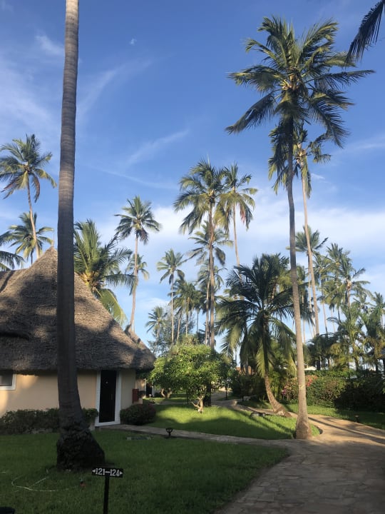 Gartenanlage Ocean Paradise Resort & Spa