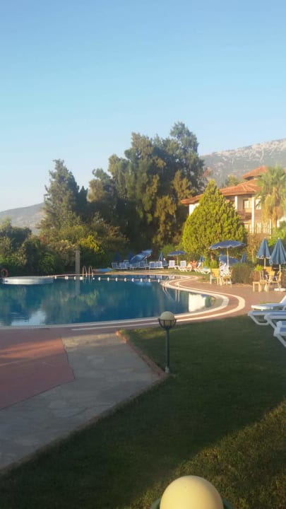 Pool Montana Pine Resort