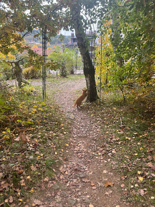 Außenansicht Spirit & SPA Hotel Birkenhof am Elfenhain