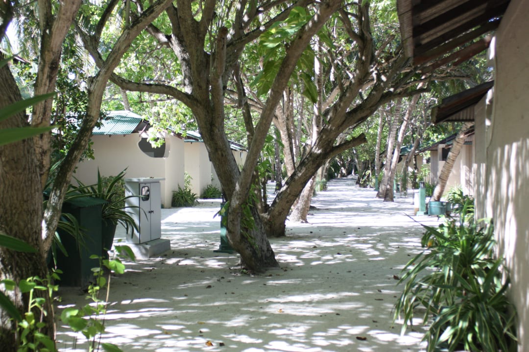 Zwischen den Bungalows Summer Island Maldives