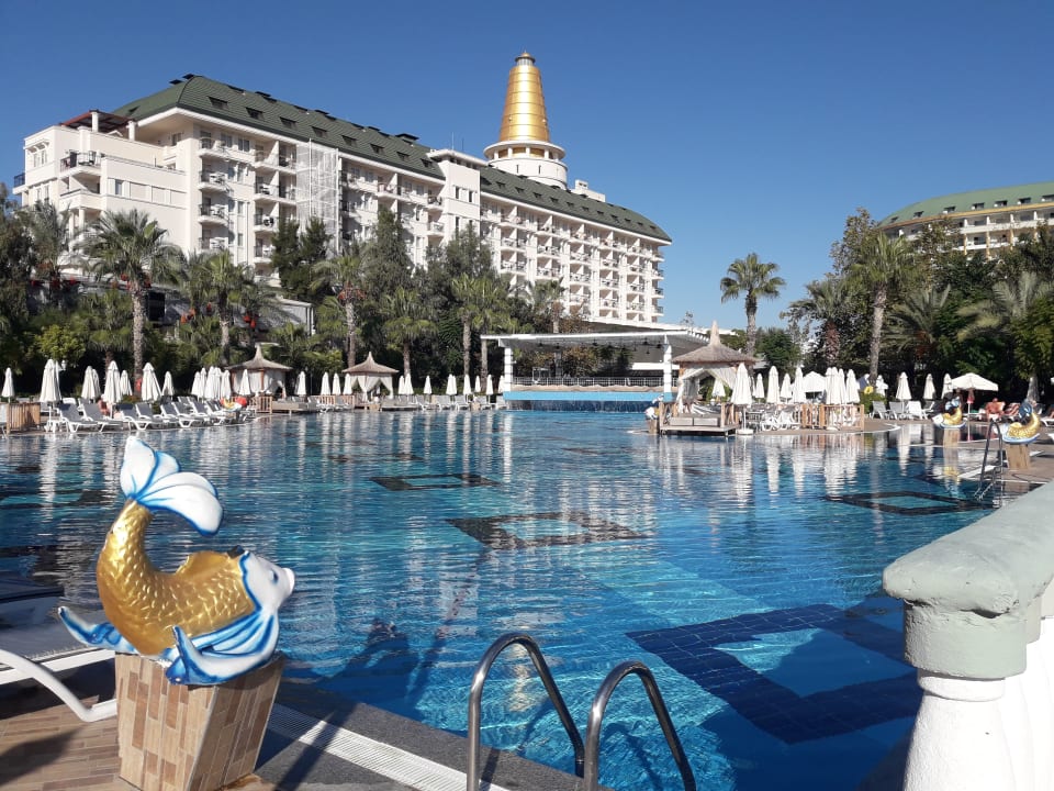 Pool Hotel Delphin Imperial