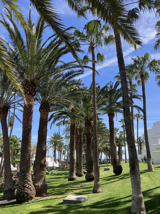 Gartenanlage Hotel Riu Paraiso Lanzarote