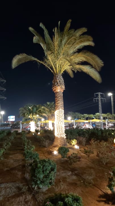 Gartenanlage Pickalbatros Alf Leila Wa Leila Resort - Neverland Hurghada