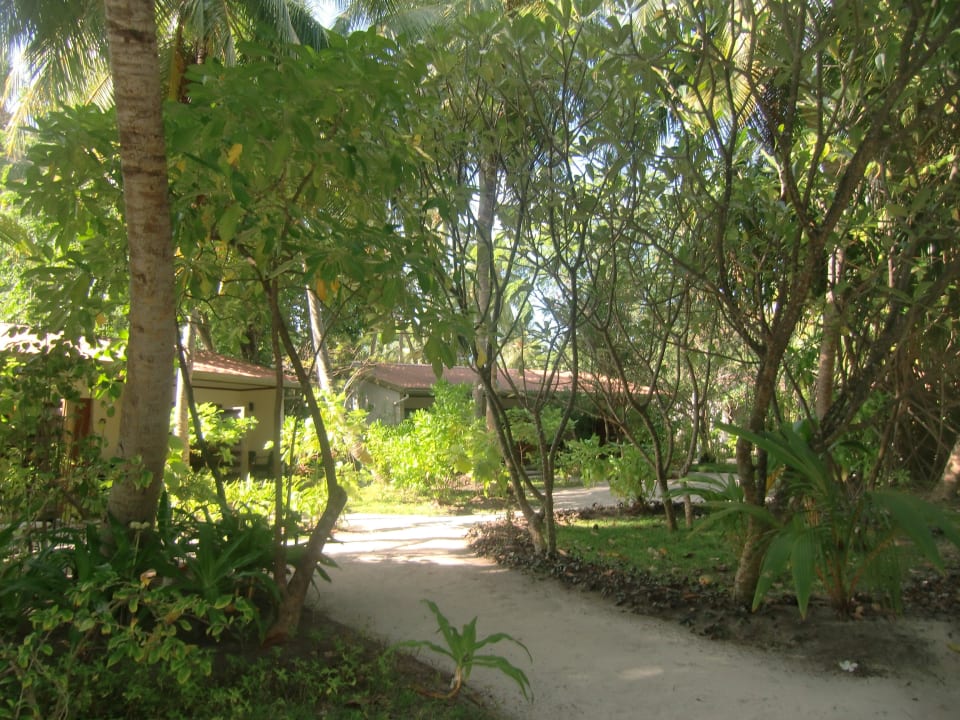 Gardenvillen 150er Kuramathi Maldives