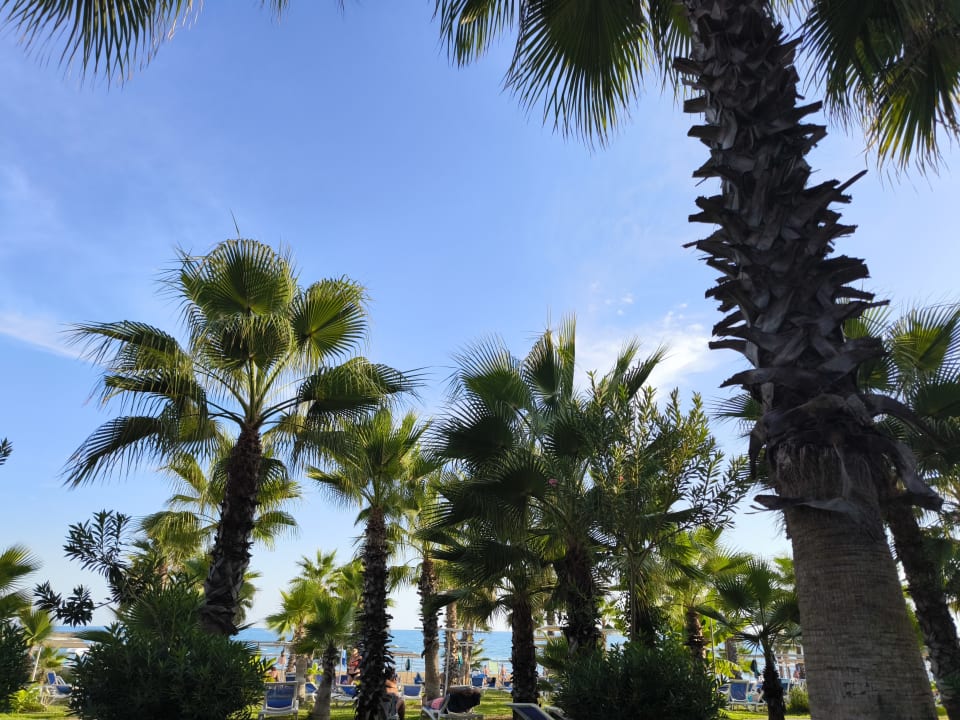 Strand Hotel Süral Resort