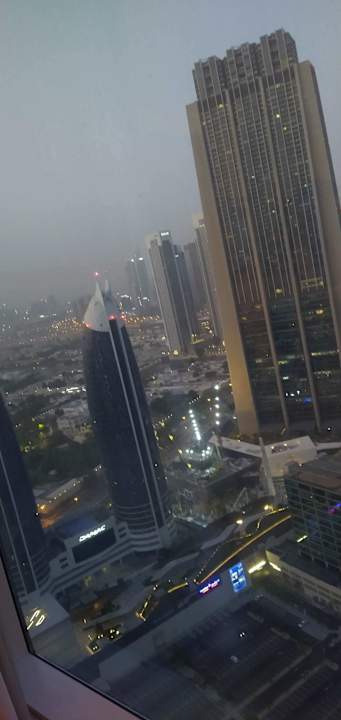 Ausblick Rose Rayhaan by Rotana