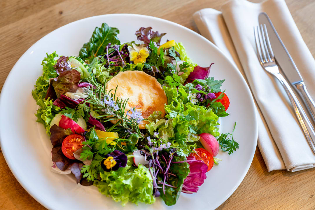 Gastro Insel Hotel Bonn