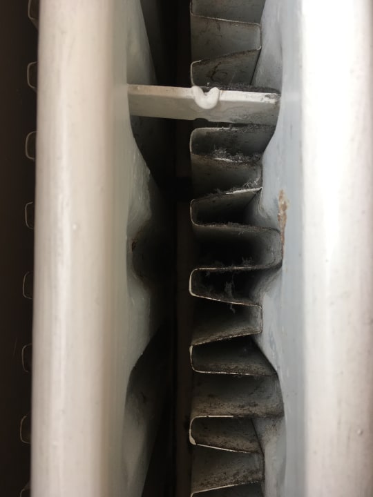 Zimmer Hotel Fitzsimons