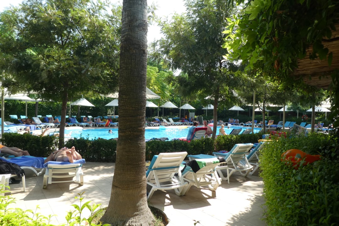 Pool Can Garden Beach