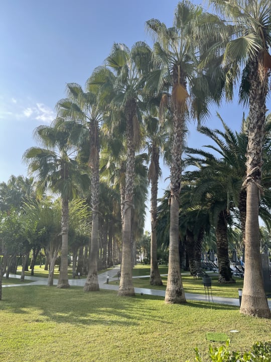 Gartenanlage Hotel Miramare Beach