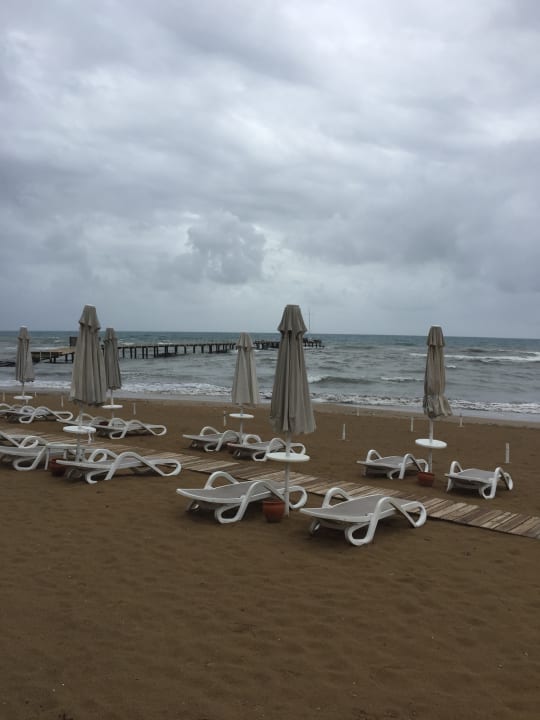 Strand PALOMA Perissia