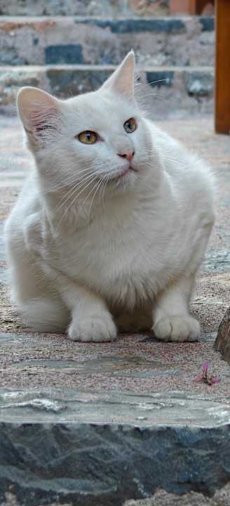 Gartenanlage High Beach Resort