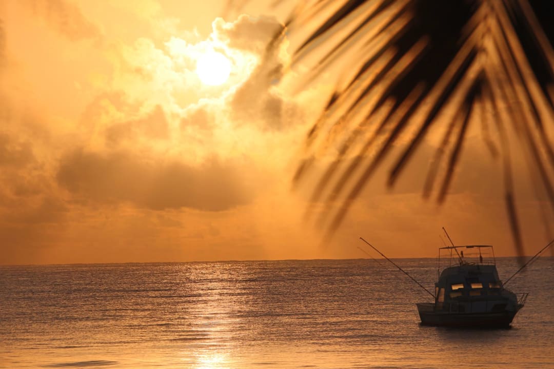 Ausblick Neptune Palm Beach Boutique Resort & Spa